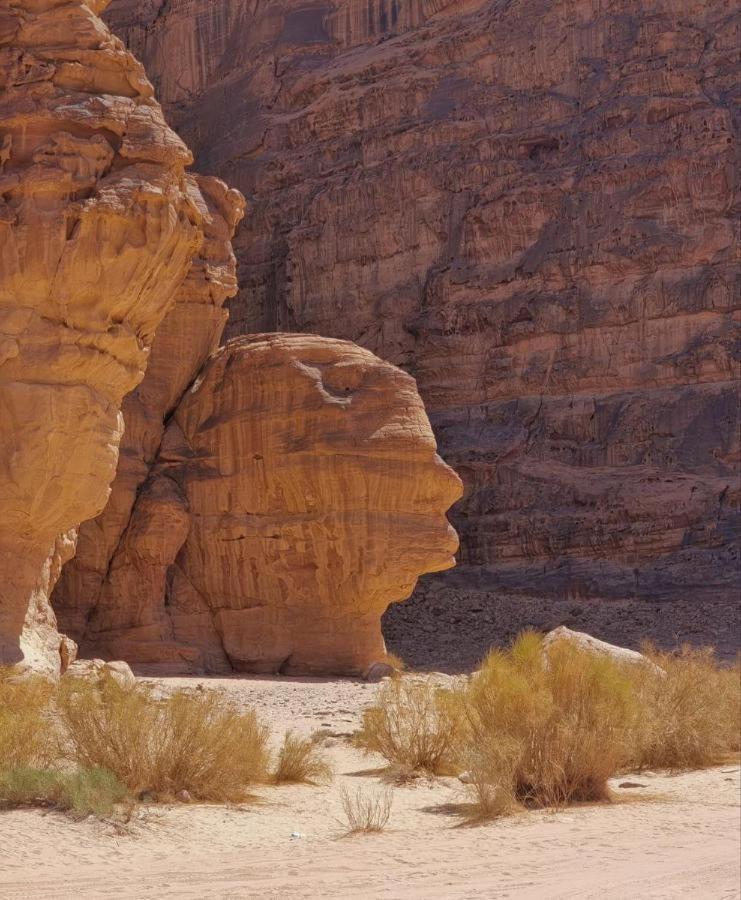 Star Rum Wadi Rum Eksteriør bilde